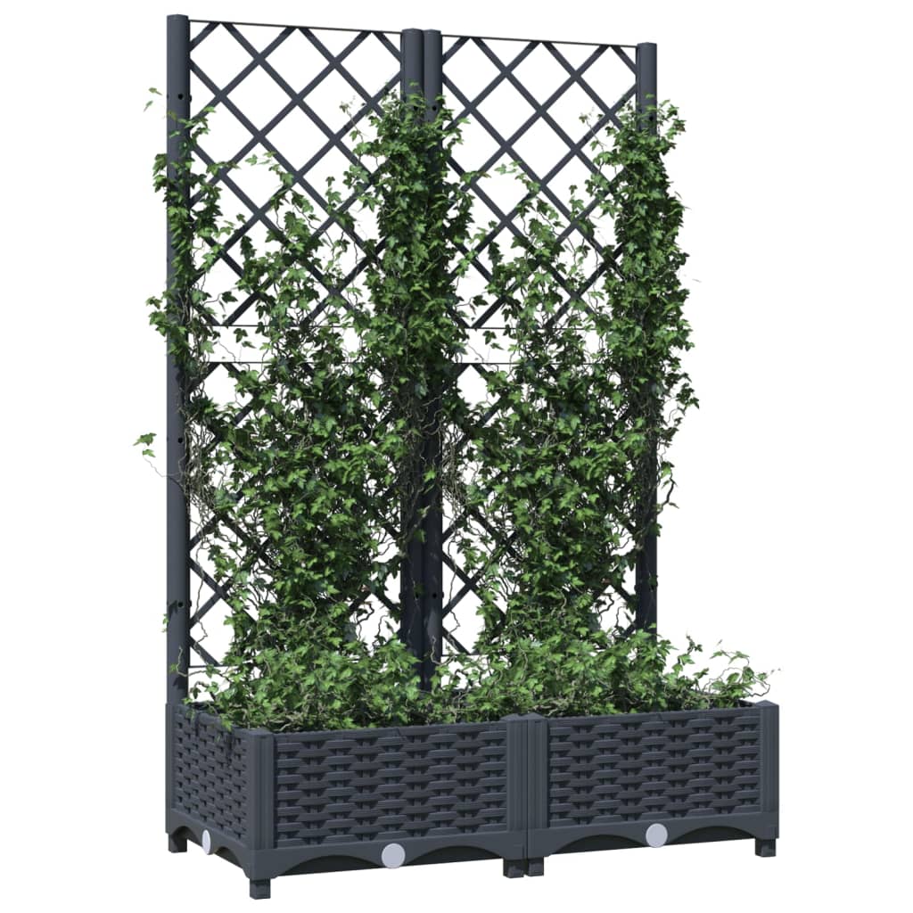 vidaXL Fioriera da Giardino e Graticcio Grigio Blu 80x40x121,5 cm PP VIDAXL