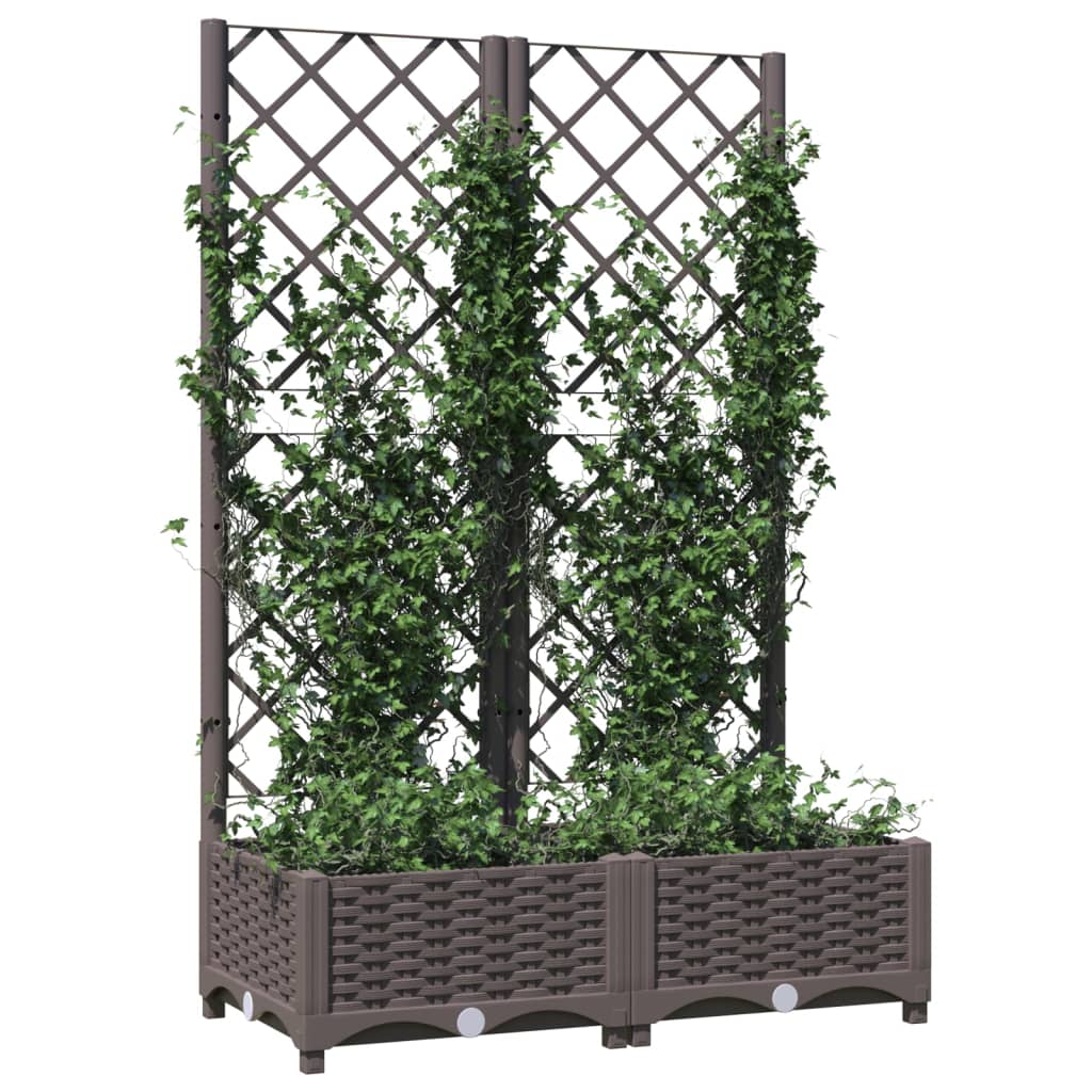 vidaXL Fioriera da Giardino con Graticcio Marrone 80x40x121,5 cm in PP