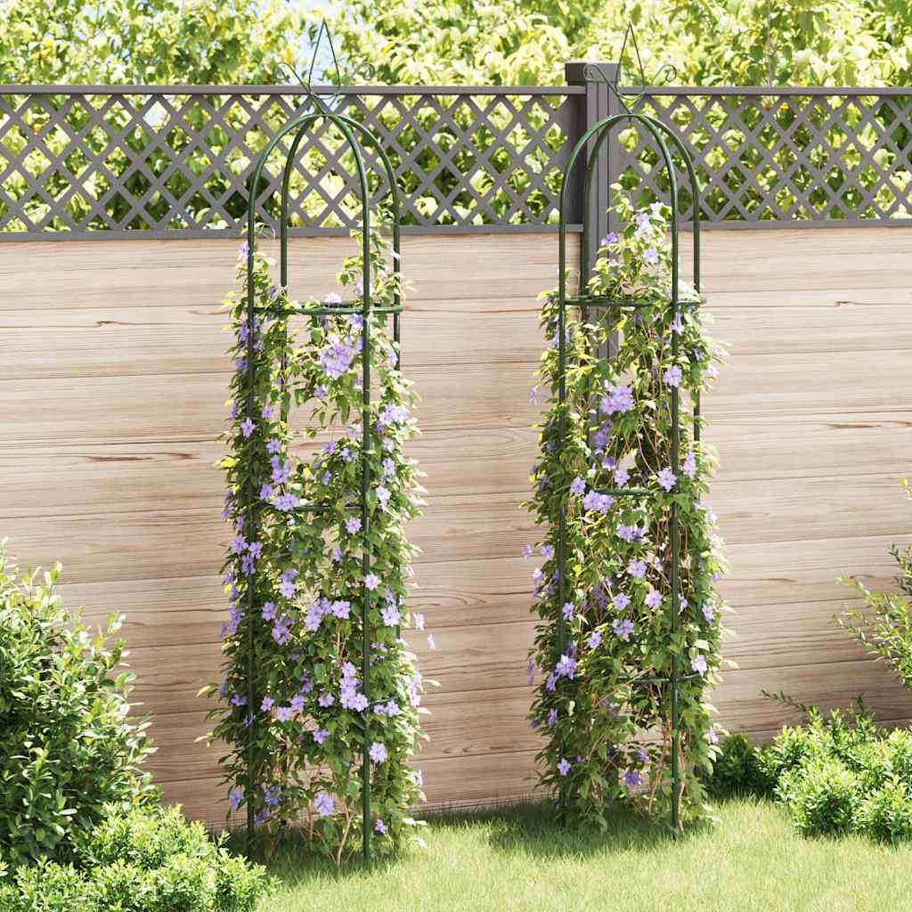 vidaXL Set Torri ad Arco 2 pz per Piante Rampicanti da Giardino