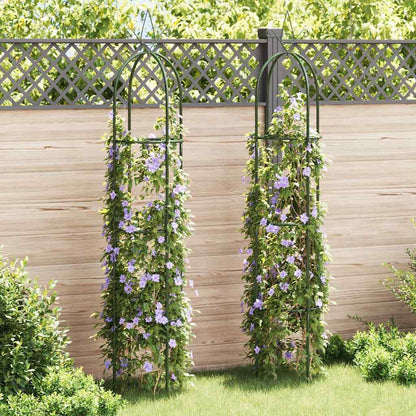 vidaXL Set Torri ad Arco 2 pz per Piante Rampicanti da Giardino