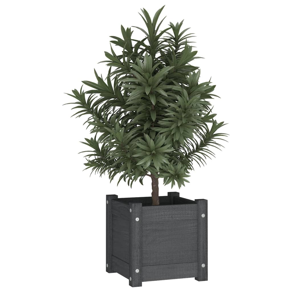vidaXL Fioriera da Giardino Grigia 31x31x31 cm Legno Massello di Pino