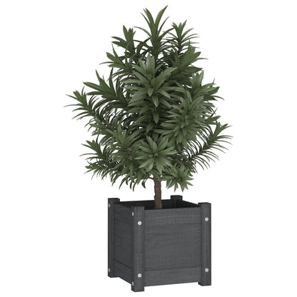 vidaXL Fioriera da Giardino Grigia 31x31x31 cm Legno Massello di Pino
