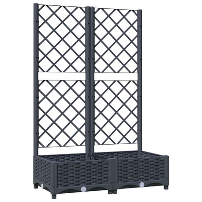 vidaXL Fioriera da Giardino e Graticcio Grigio Blu 80x40x121,5 cm PP VIDAXL