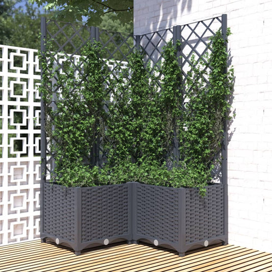 vidaXL Fioriera da Giardino con Graticcio Grigio Blu 80x80x136 cm PP