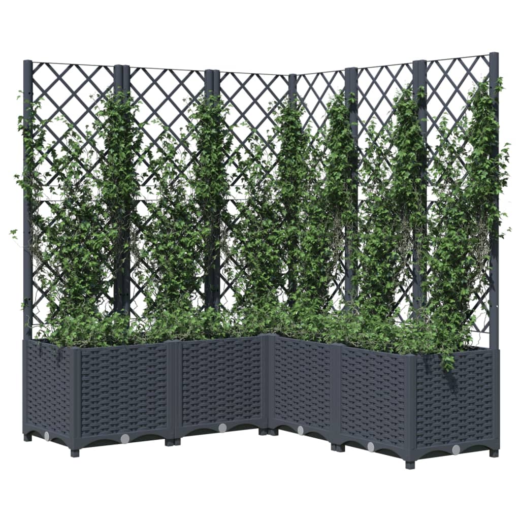 vidaXL Fioriera da Giardino Graticcio Grigio Blu 120x120x136cm PP