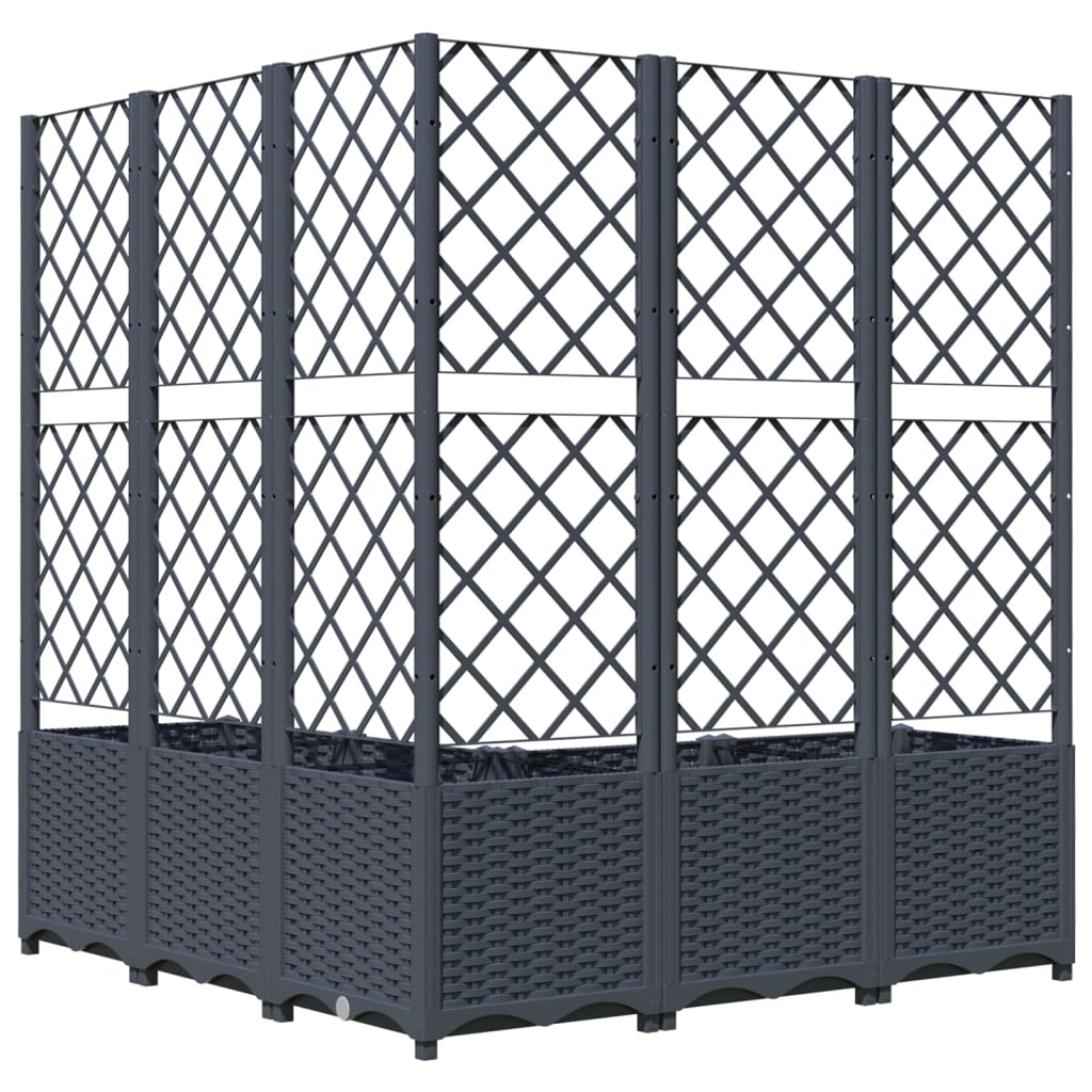 vidaXL Fioriera da Giardino Graticcio Grigio Blu 120x120x136cm PP