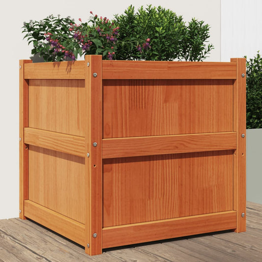vidaXL Fioriera Giardino Marrone Cera 60x60x60 cm Legno Massello Pino VIDAXL