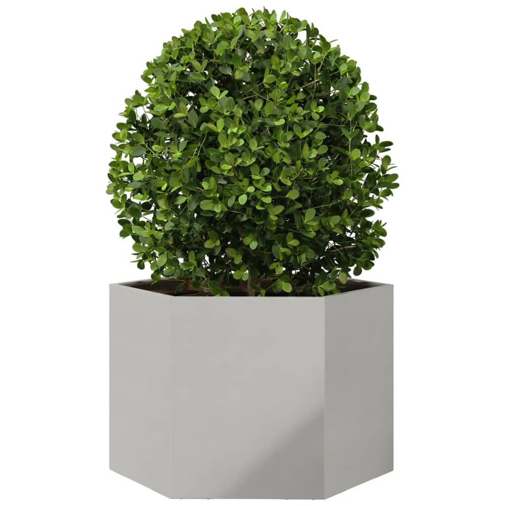 vidaXL Fioriera da Giardino Esagono 69x60x45 cm in Acciaio Inox VIDAXL